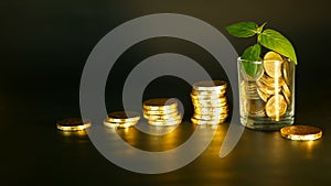 Management efficiency. Stacks of golden coins near full glass and green leaf of sprout on black background. Success.