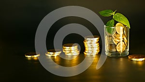 Management efficiency. Stacks of golden coins near full glass and green leaf of sprout on black background. Success.