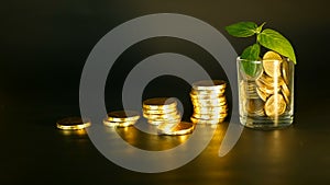 Management efficiency. Stacks of golden coins near full glass and green leaf of sprout on black background. Success.