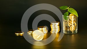 Management efficiency. Stacks of golden coins near full glass and green leaf of sprout on black background. Success.