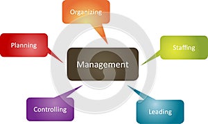 Management function business diagram