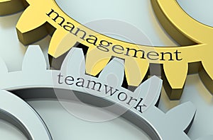 Management and Teamwork on the gearwheels