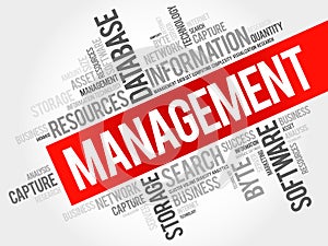 Management word cloud collage