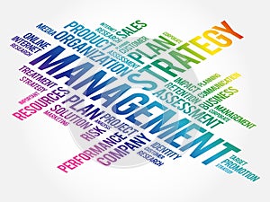 MANAGEMENT word cloud collage