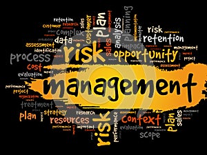 MANAGEMENT word cloud collage