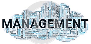 Management word cloud concept on white background