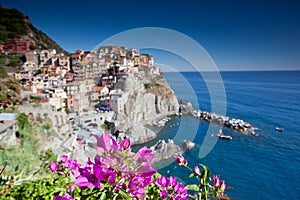 Manarola, Cinque Terre, Italy