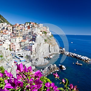 Manarola, Cinque Terre, Italy