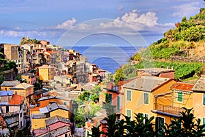 Manarola, Italy photo