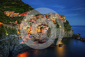 Manarola Scenic Viewpoint