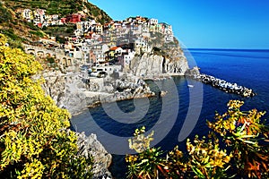 Manarola village, Cinque Terre, Italy