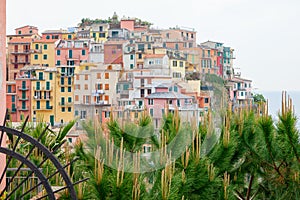 Manarola village , Cinque Terre, Italy.