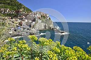 MANAROLA VILLAGE ON DAY TIME