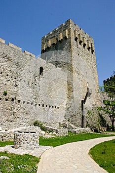 Manasija castle photo