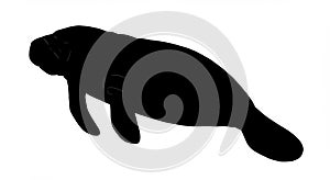 Manatee Silhouette