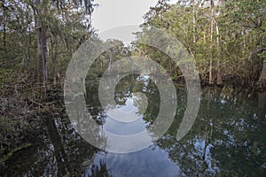 Manatee Springs State Park in Florida