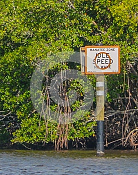 Manatee Zone Sign to idle speed with no wake in Everglades City, Collier County, Florida