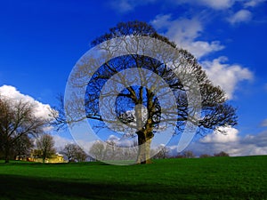 Manchester, Heaton park, England, UK