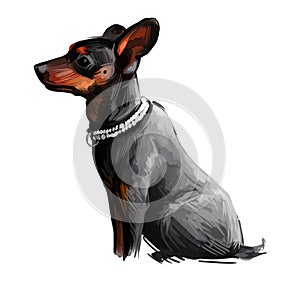 Manchester terrier dog wearing collar pet digital art