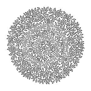 Mandala circle pattern. Round tree leaves ornament. Vector illustration.