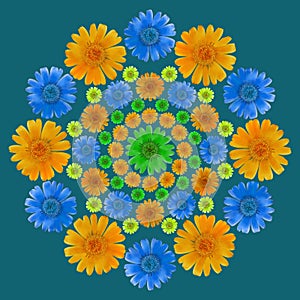 Mandala from dried pressed flowers, petals. Calendula officinalis. Mandala is symbol of Buddhism, yoga. Ornament mandala with