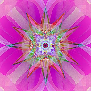 MANDALA FLOWER. ABSTRACT FUCHSIA BACKGROUND. CENTRAL LINEAR DESIGN . RED, PURPLE, PINK, YELLOW AND WHITE