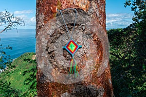 Mandala God Eye Mexican Crafts on a tree in Nayarit Mexico.