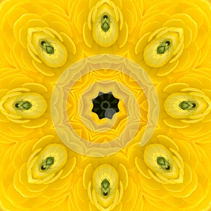 Mandala Kaleidoscopic design