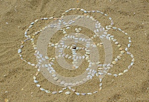 A mandala of mussel shells on the sand.