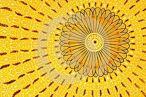 Mandala pattern Element to use as background or texture