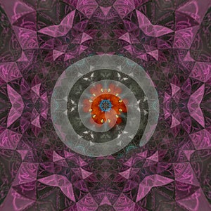 Mandala purple