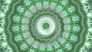 Mandala symmetric transition. Botanical abstract background.