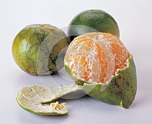 Mandarin citrus