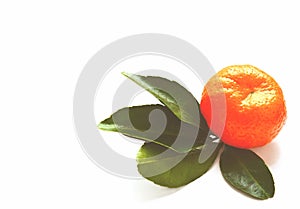 Mandarin, citrus fruit on white background in nostalgic colors