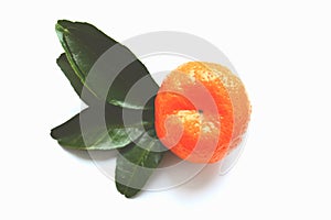 Mandarin, citrus fruit on white background in nostalgic colors