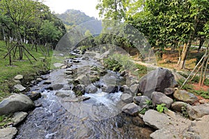 Mandarin duck creek photo