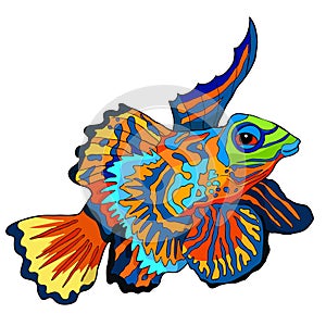 Mandarin fish is Chinese perch. vector illustration