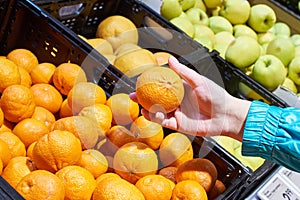 Mandarin fruit in hand in store