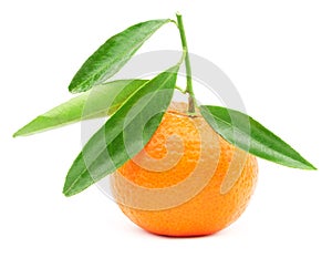 Mandarin fruit with leaf isolated on white