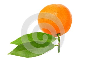 mandarin with green leaf isolated on white background