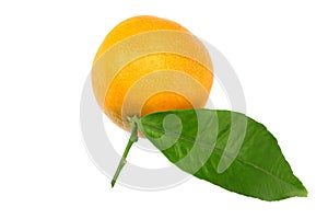 mandarin with green leaf isolated on white background