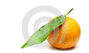 Mandarin, with green leaf, isolated on white background.