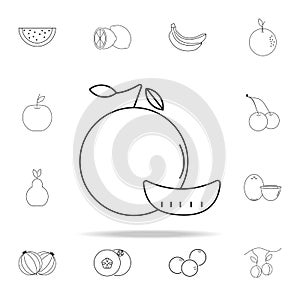 mandarin icon. Fruit icons universal set for web and mobile