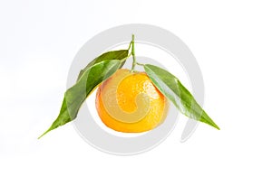 Mandarin one fresh juicy oranges isolated on white background.