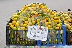 Mandarin orange