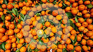 Mandarin orange on display in modern market