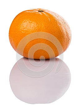 Mandarin Orange Fruit II