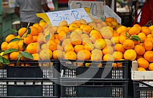 Mandarin Orange Market