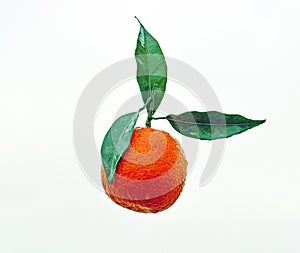 A Mandarin Orange Isolated White Background