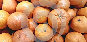 mandarin oranges or citrus reticulata photo